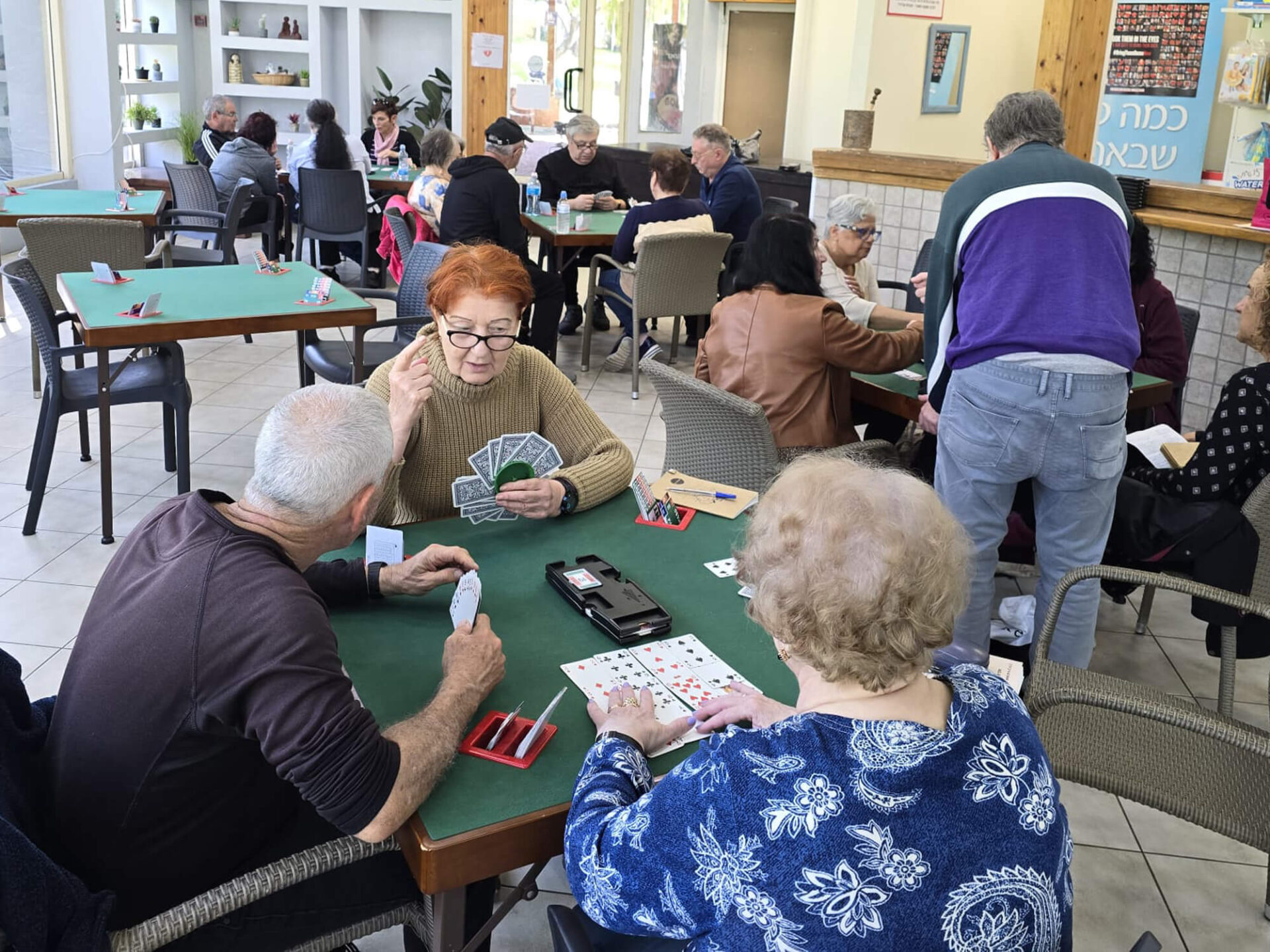 חוג ברידג למתחילים